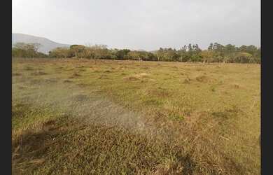 Imagem 4: TERRENO 15 HECTARES