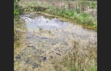 Imagem 6: Fazenda de 10 ha em Carmo da Mata