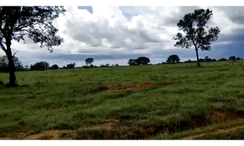 Imagem 5: 120 Alqs Dupla Aptidão Ótima em Tudo Próximo Jaú d TO