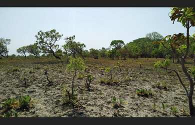 Imagem 3: 500 Alqs Plana Rio Acesso Bom Região Rio Sono TO