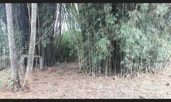 Imagem 5: ÁREA 1.33HEC PRÓX. OTÁVIO PÉCORA