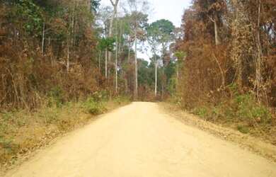 Imagem 2: Fazenda 80 alqueires em Cujubim