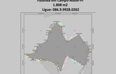 Imagem 2: Fazenda em Campo Maior 1.800 ha