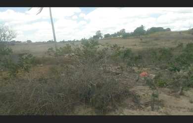 Imagem 2: ��Sitio a venda, localizado entre Puxinanã e Montadas