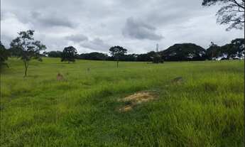 Imagem 3: Fazenda de 57 há em Itaguara MG