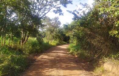 Imagem 5: Chácara de 2.000 m2 Próximo a iveco em Sete Lagoas somente 8km do asfalto