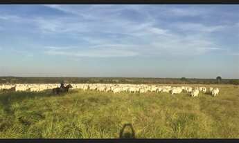 Imagem: 1.033 Alqs Ótima em Tudo da Prazo Região