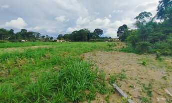 Imagem 3: VENDO TERRENO COM 2.500M² E ÓTIMA LOCALIZAÇÃO