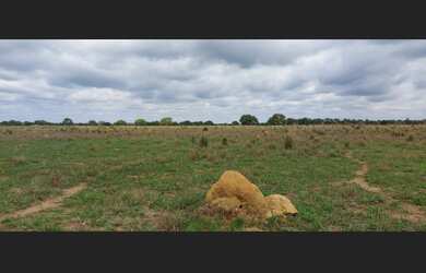 Imagem 2: 270 Alqs Arrendamento Disponivel Pra Soja Marianópolis TO