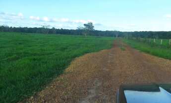 Imagem 7: R$ 9 milhões fazenda 300 alqueires em Paragominas 100% documentada dupla aptidão