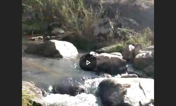 Imagem: Fazenda de 74 ha em Carmopolis de Minas