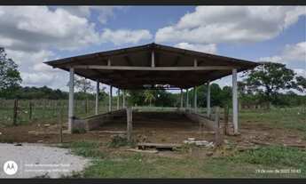 Imagem 5: 200 Hectares pronta e documentada fica no sentido Capanema