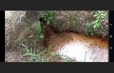 Imagem 16: Fazenda de 240 há em Carmo da Mata MG