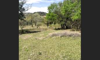 Imagem 6: Chácara próximo ao Distrito de São Domingos - Apucarana/PR