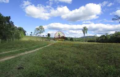 Imagem 6: Fazenda com 40 Alqueires para Venda em Pariquera-Açu / SP