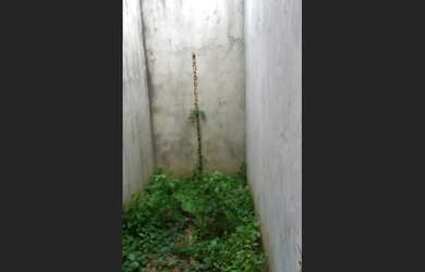 Imagem 2: Vendo até dia 16/07/2025 terreno com construção jardim orquídeas Ananindeua-PA