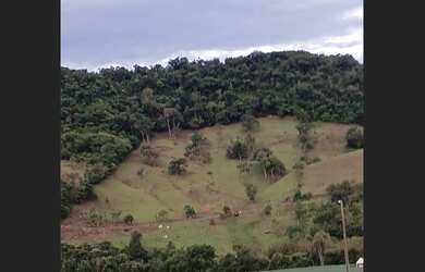 Imagem 2: Londrina chácara 2 alqueires a 5 Kilometros da cidade de jardim alegre no Paraná