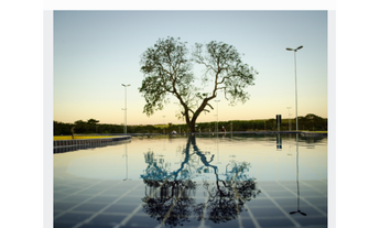 Imagem 3: Terreno 294 m2 em Costa Rica/MS - ACEITA VEÍCULO NO NEGÓCIO!!!