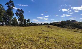 Imagem 2: Terreno de 36 há em Oliveira