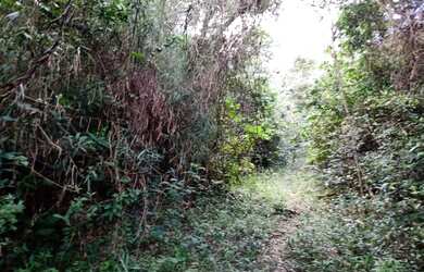 Imagem 2: Terreno de 40 há em Itaguara MG
