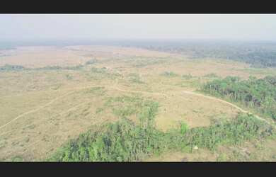 Imagem 7: FAZENDA EM NOVO PROGRESS0O