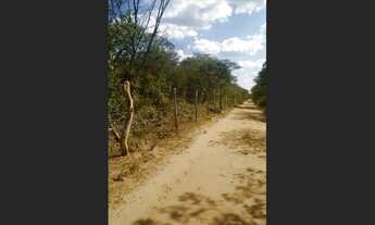 Imagem 6: TERRENO MUITO BOM