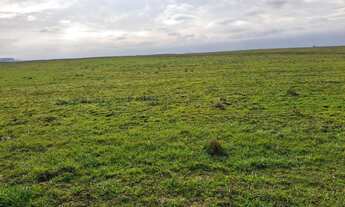 Imagem 2: ARRENDAMENTO 130 hectares soja pagto 35% antecipado restante safra