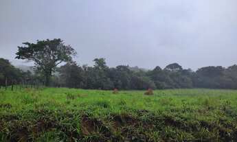 Imagem 3: Terreno de 3 há em Itaguara MG