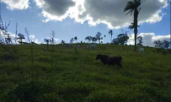Imagem 2: Terreno de 15 ha em Itaguara MG