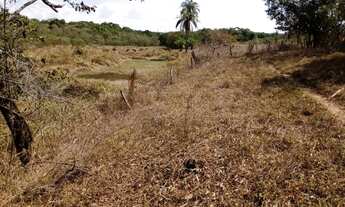 Imagem 5: Fazenda de 14 ha em Itaguara no Rio Para