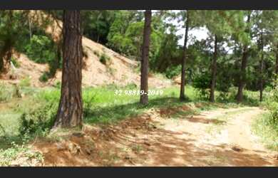 Imagem 6: Propriedade rural com 110 hectares