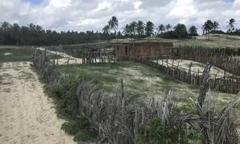 Imagem 7: Vendo lote em Tatajuba