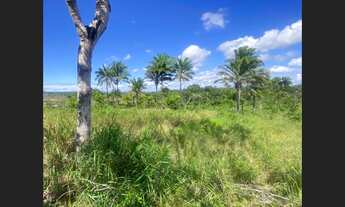 Imagem 3: Sítio a venda Fazenda / sítio com venda por R$120.000