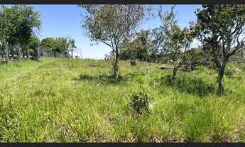 Imagem 3: Terreno 1.405m2 Fazenda Fialho. Parada 108