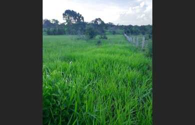 Imagem 2: 50 hectares 80% pasto no Pará pronta por R$700 mil