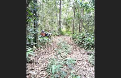 Imagem 5: Fazenda 3656 hectares 2.300.000,00 no Pará estão em matas tem escrituras