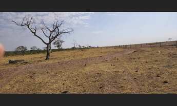 Imagem 2: 300 Alqs Arrendamento Disponivel Pra Soja Caiaponia GO