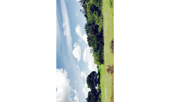 Imagem 2: Vende-se ou troca por veículo de menor valor