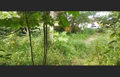 Imagem 11: Vendo terreno/chácara no Águas claras. Manaus_AM