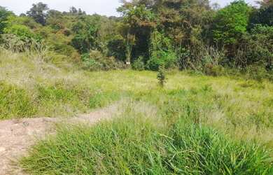 Imagem 3: Lote entre o Morada do Sol e Jardim das Magnólias - Três Corações - MG