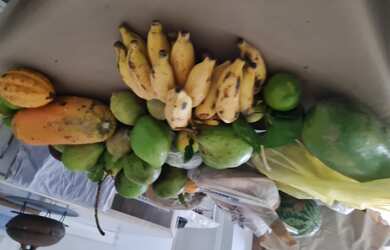 Imagem 7: Sitio pomerano com casa , 18 hectares