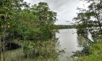 Imagem 5: R$160 mil Fazenda 118 hectares em Marapanim região pra criação de camarão