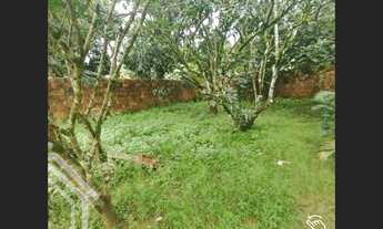 Imagem 6: EXCELENTE CHÁCARA DISPONÍVEL PARA VENDA EM UBAJARA