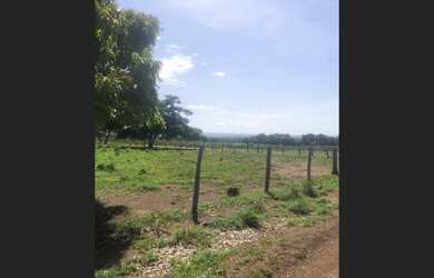 Imagem 4: 165 Alqs Arrendamento Disponivel Pra Soja Vale do Araguaia TO