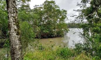Imagem: R$160 mil Fazenda 118 hectares em Marapanim