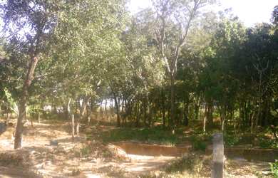Imagem 7: Áreas na lateral do Condomínio Parque da Serra em Barra do MT