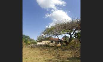 Imagem 6: Vendo 13,36 Alqueires na Região de Cornélio Procópio PR