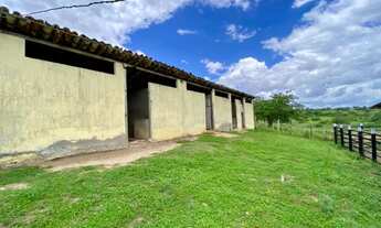 Imagem 7: VENDO- Haras em Cruz das Almas-Ba