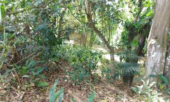 Imagem 5: Vendo uma chácara no Cabo de santo Agostinho com 9.382m2