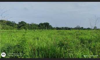 Imagem 7: 200 Hectares pronta e documentada fica no sentido Capanema